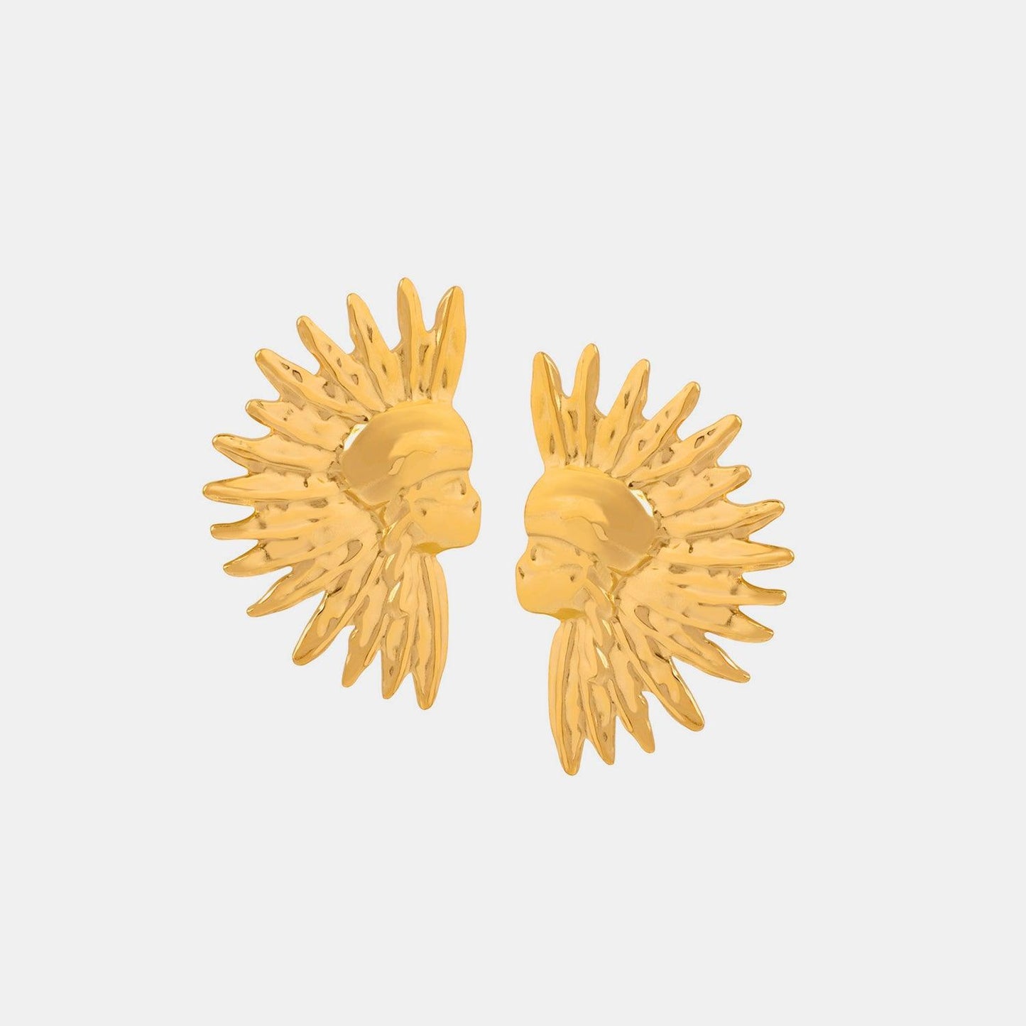 Titanium Steel Gold-Plated Earrings Carauana Store